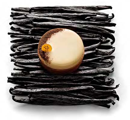 tarte vanille tarte vanille